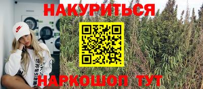 молекула духа Пугачёв