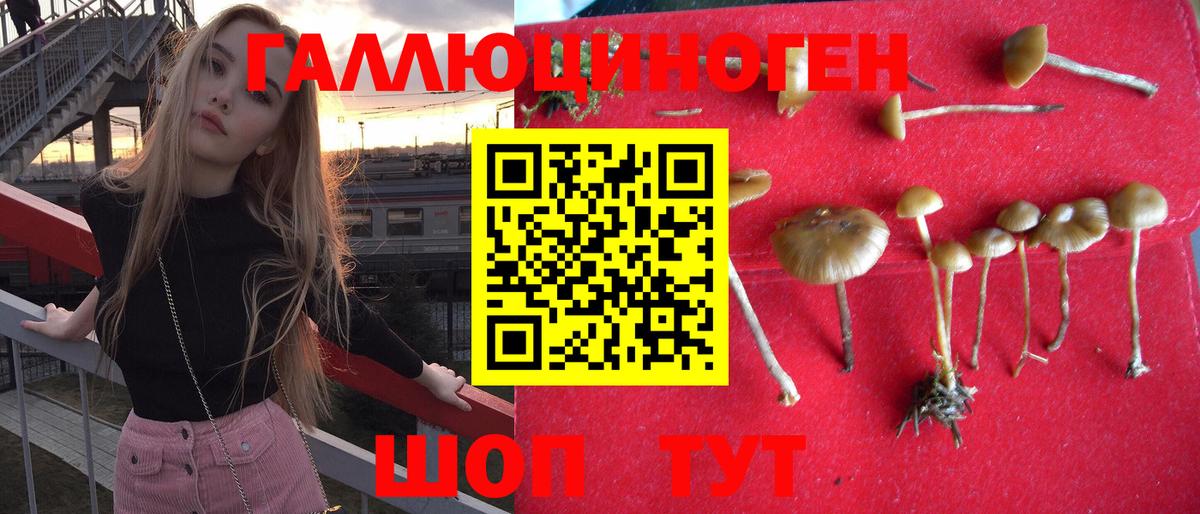 Ржев  Галлюциногенные грибы ЛСД  Псилоцибиновые грибы GOLDEN TEACHER  Вход с VPN 