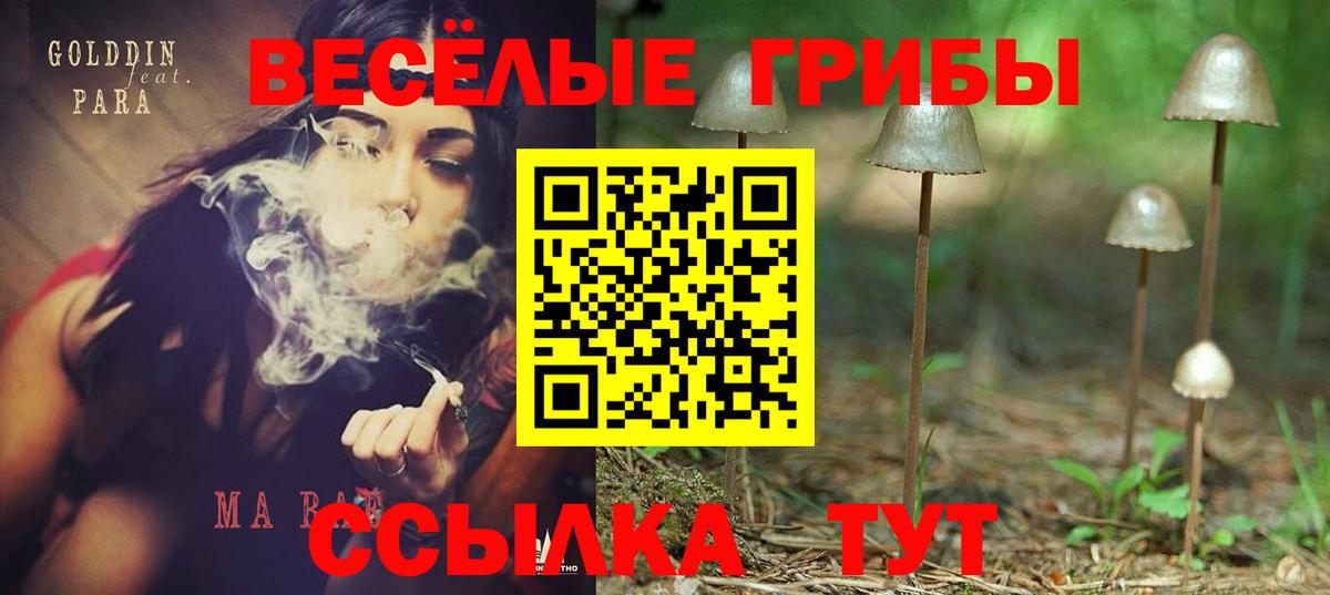 Галлюциногенные грибы прущие грибы Ржев